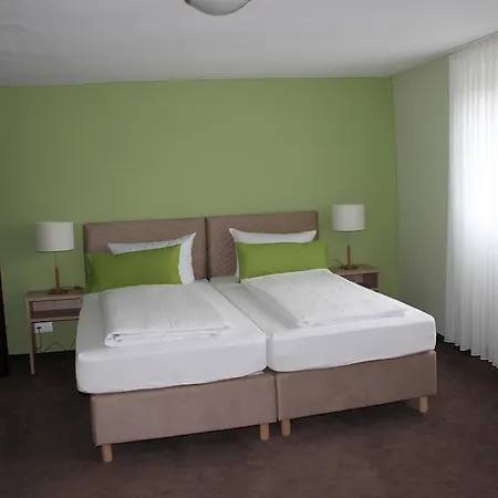 Rheinhotel Zur Krone 호텔 2*