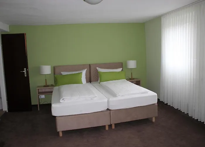 Rheinhotel Zur Krone Ξενοδοχείο 2*